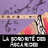 <b>La sororité des ascarides</b><br/>Vyes -IV-<br/>Avril 2008